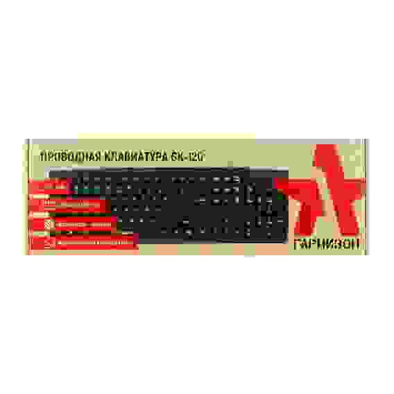 Клавиатура Гарнизон GK-120, USB, черный, поверхность- карбон